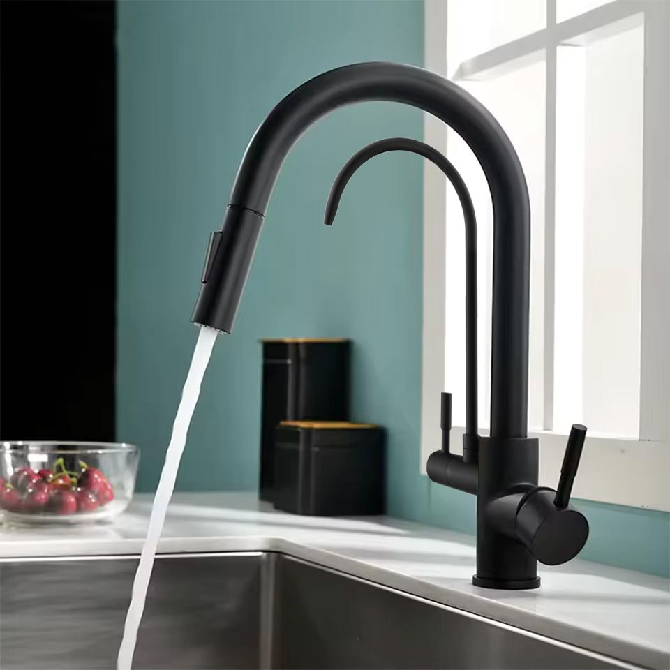 Kitchen faucet Eco Fresh black mat