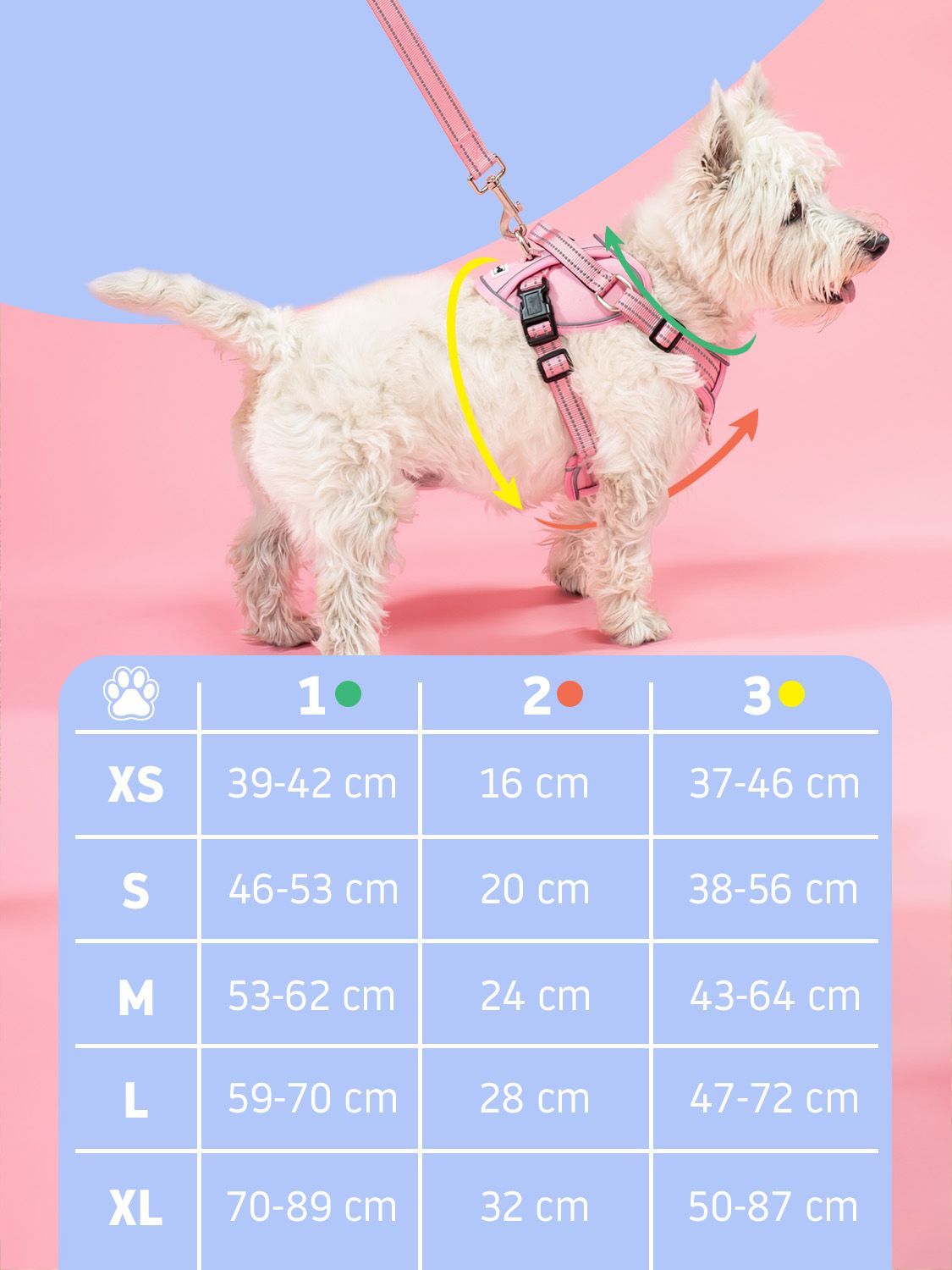Leash and harness for a dog PJ-062 Blue L