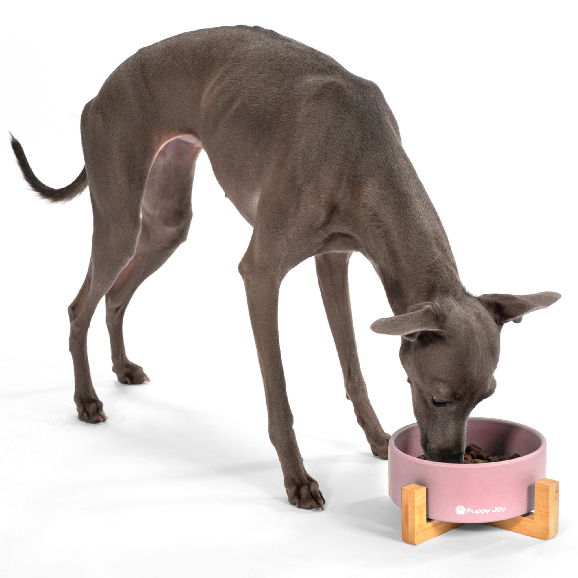 Dog/cat/pet bowl