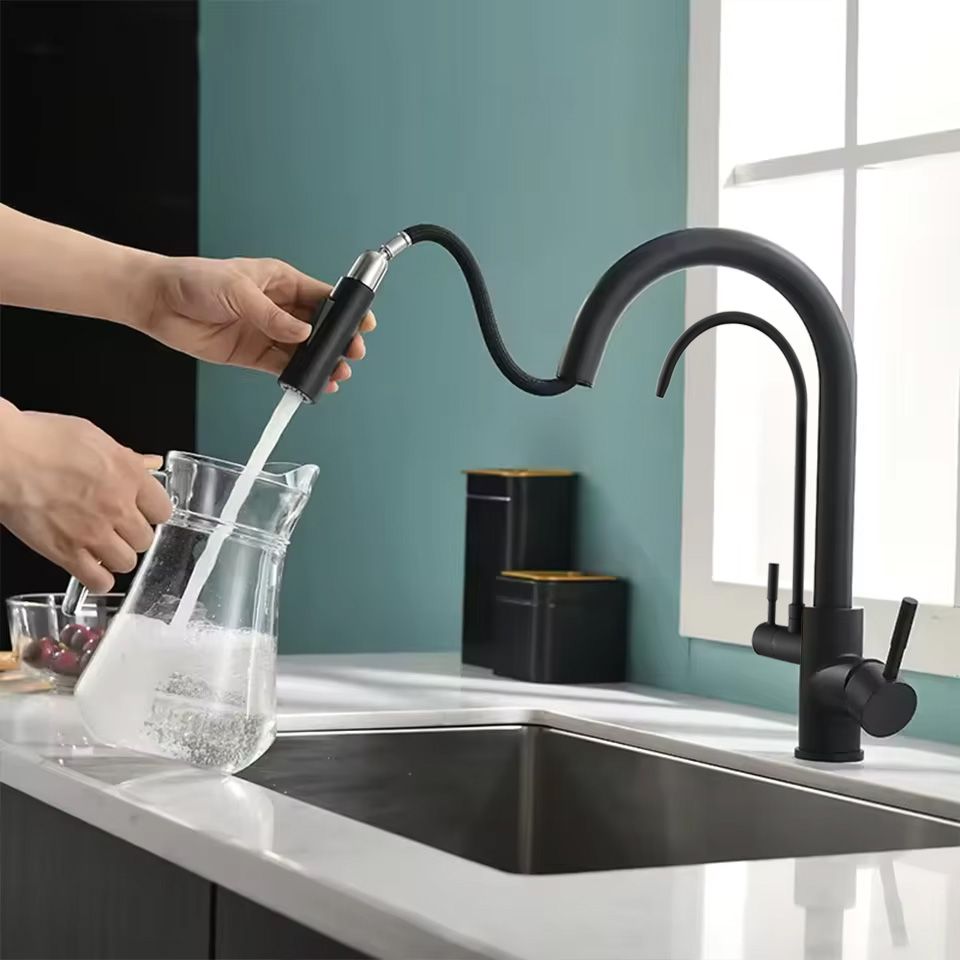 Kitchen faucet Eco Fresh black mat
