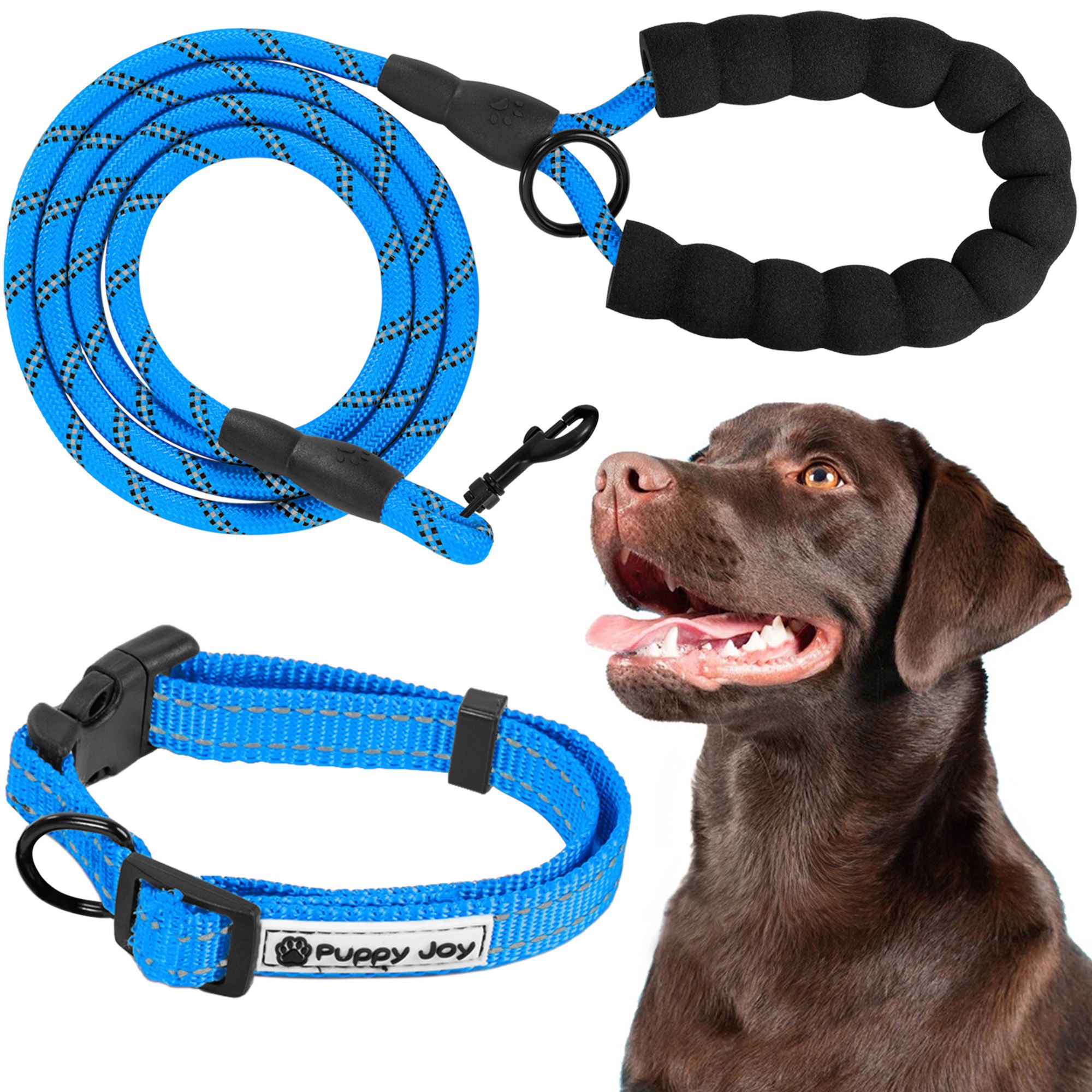 Leash and Collar PJ-037 Blue