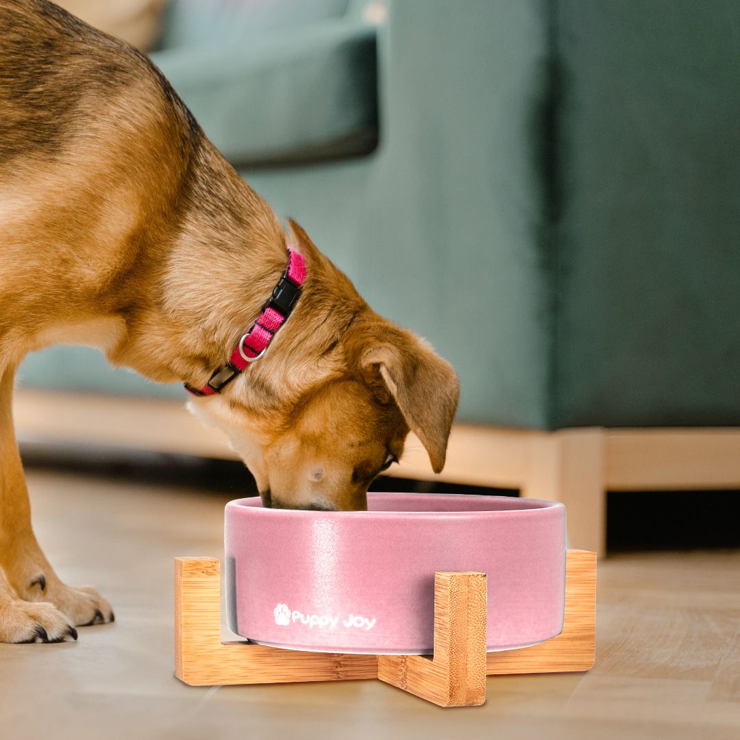 Dog/cat/pet bowl