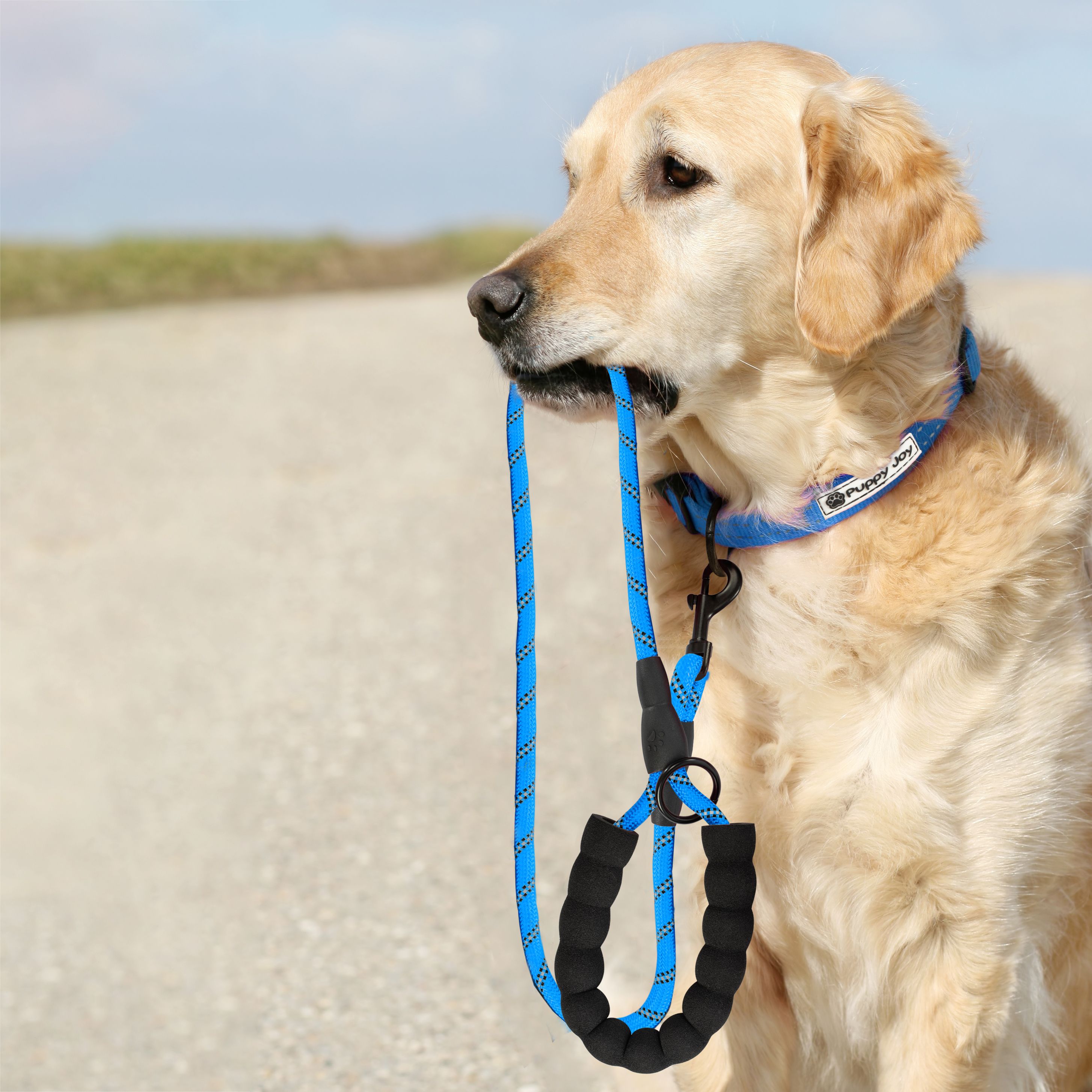Leash and Collar PJ-037 Blue