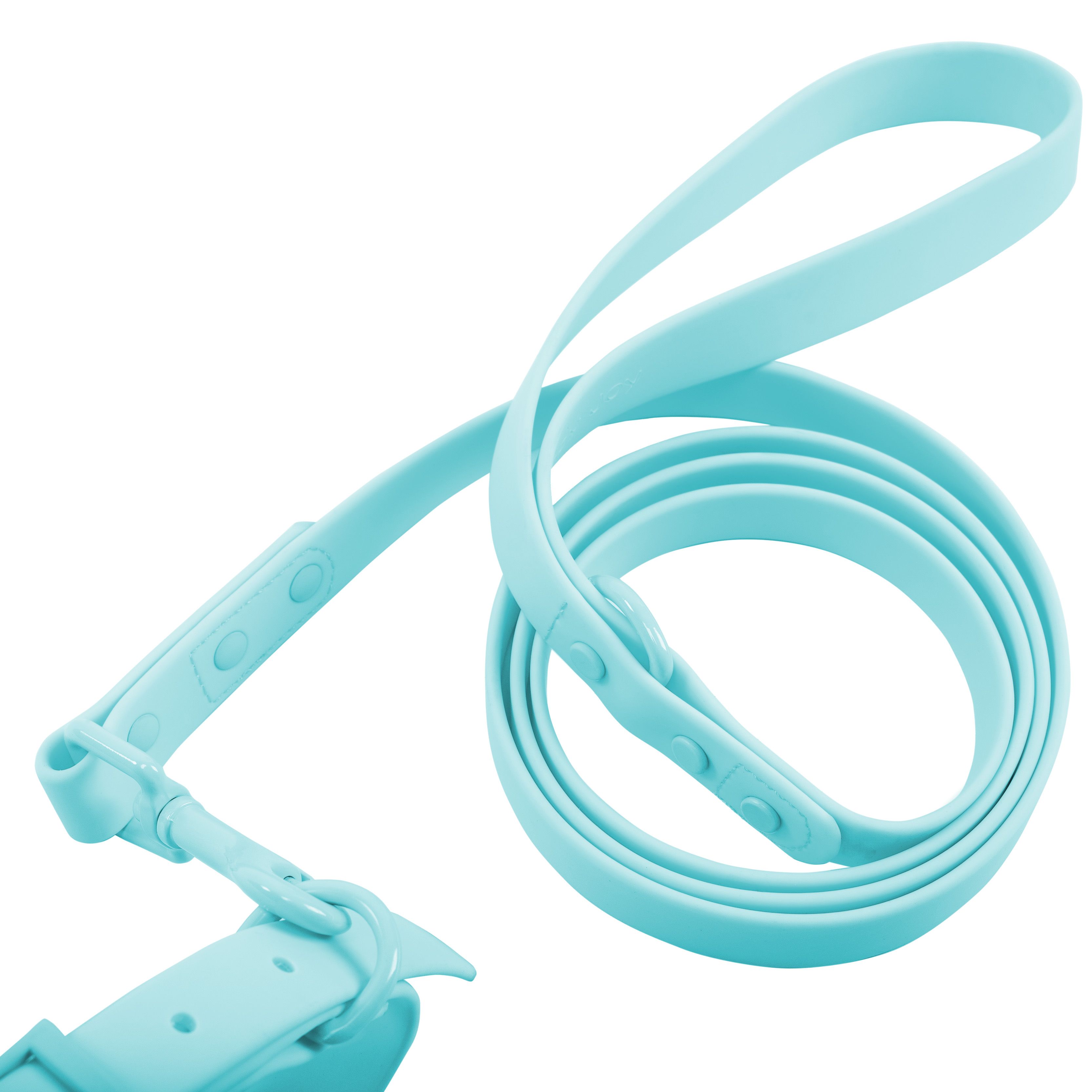 Leash and Collar PJ-074 blue M