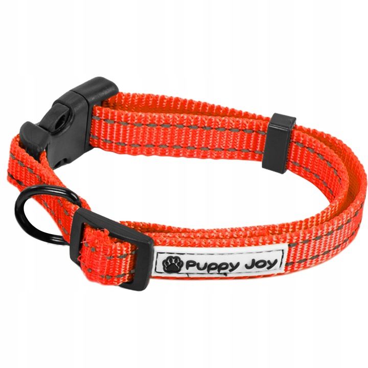 Leash and Collar PJ-035 red