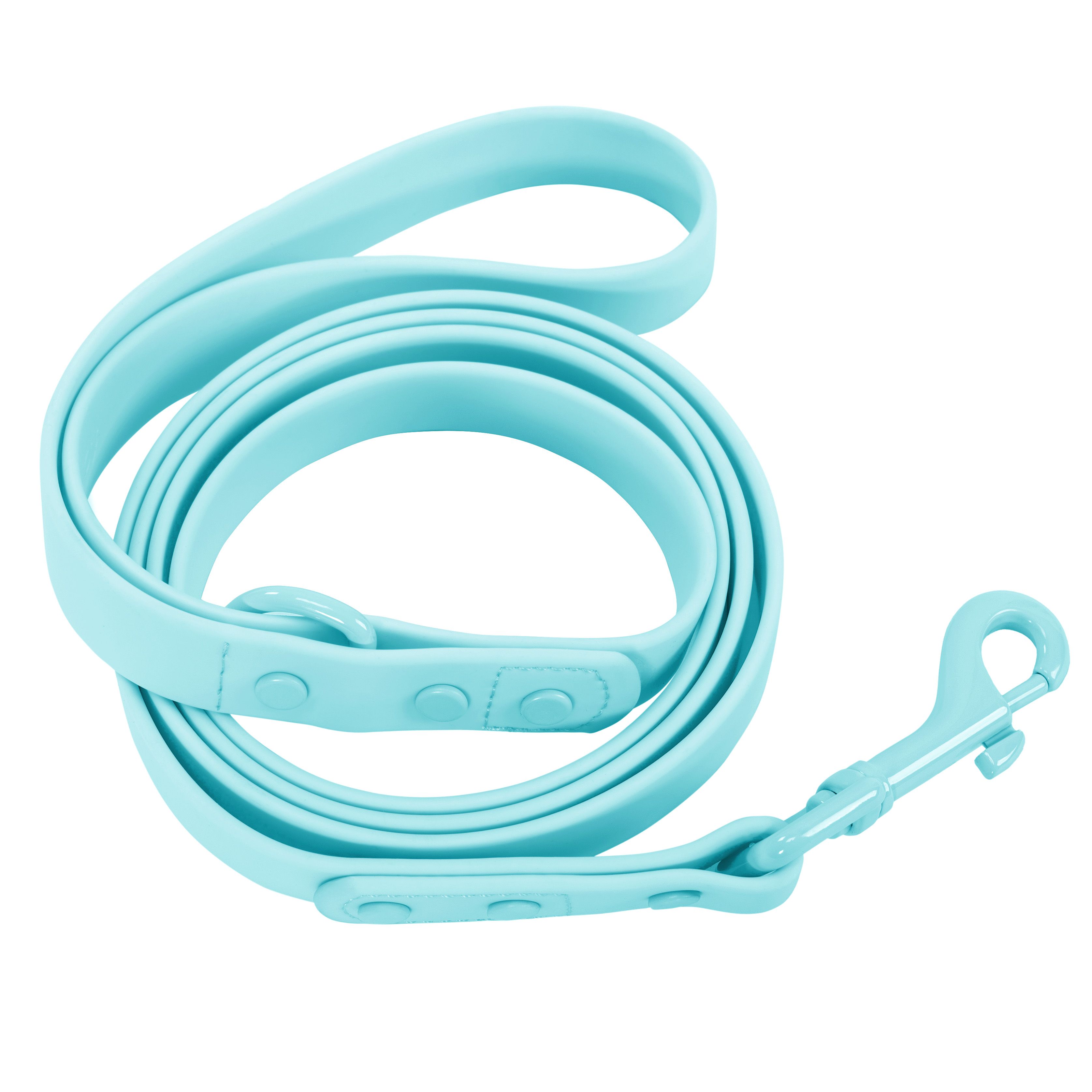 Leash and Collar PJ-074 blue M