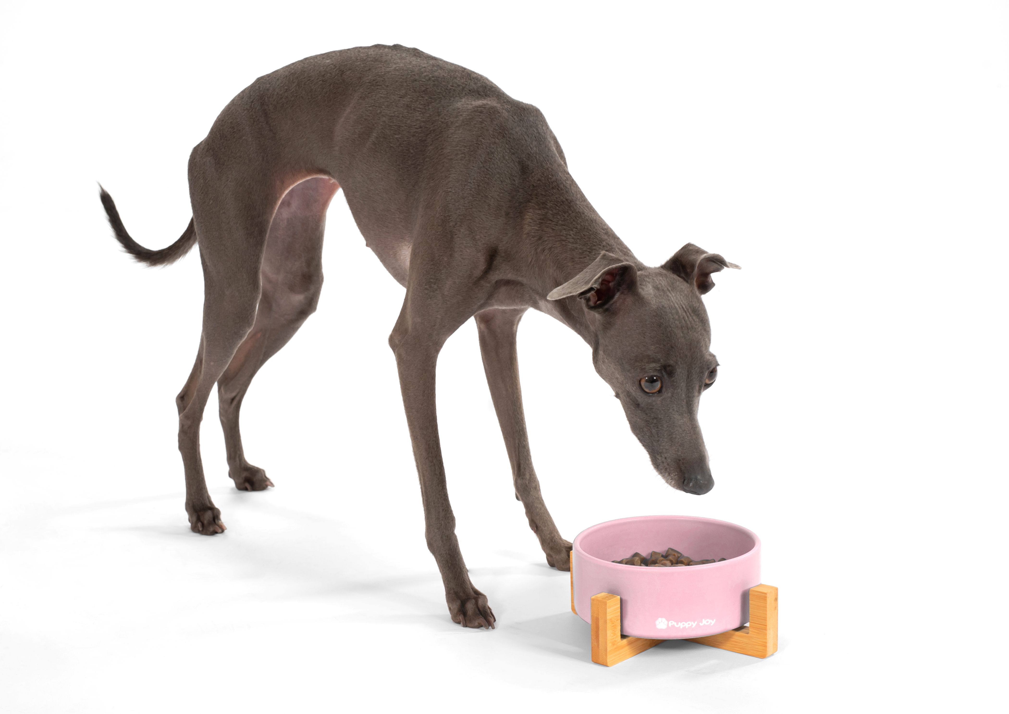 Dog/cat/pet bowl