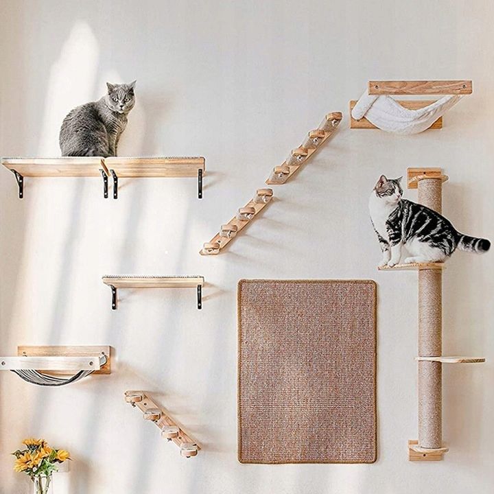 CAT SET JUNGLA JUNGLA 1