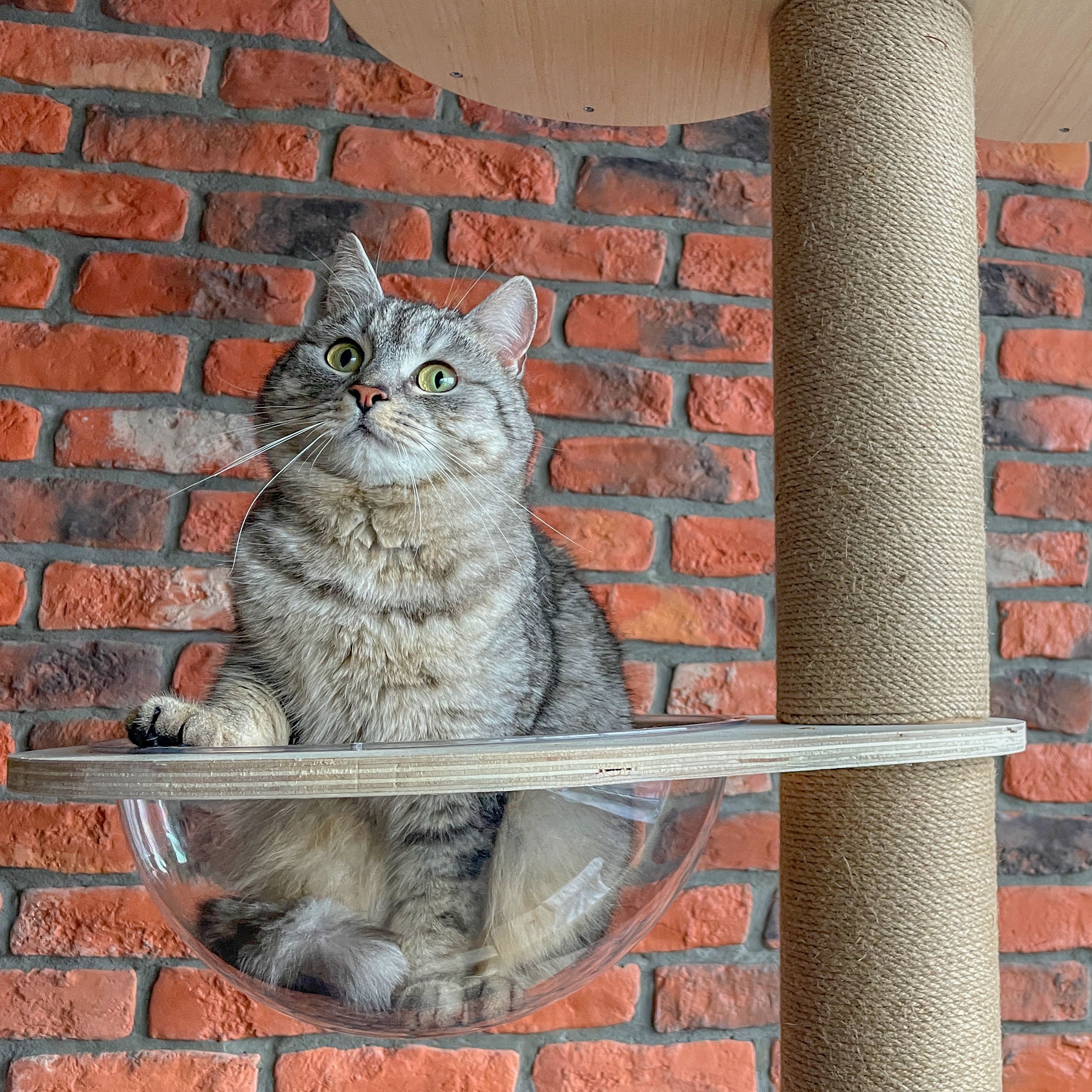 cat tree beige P70503