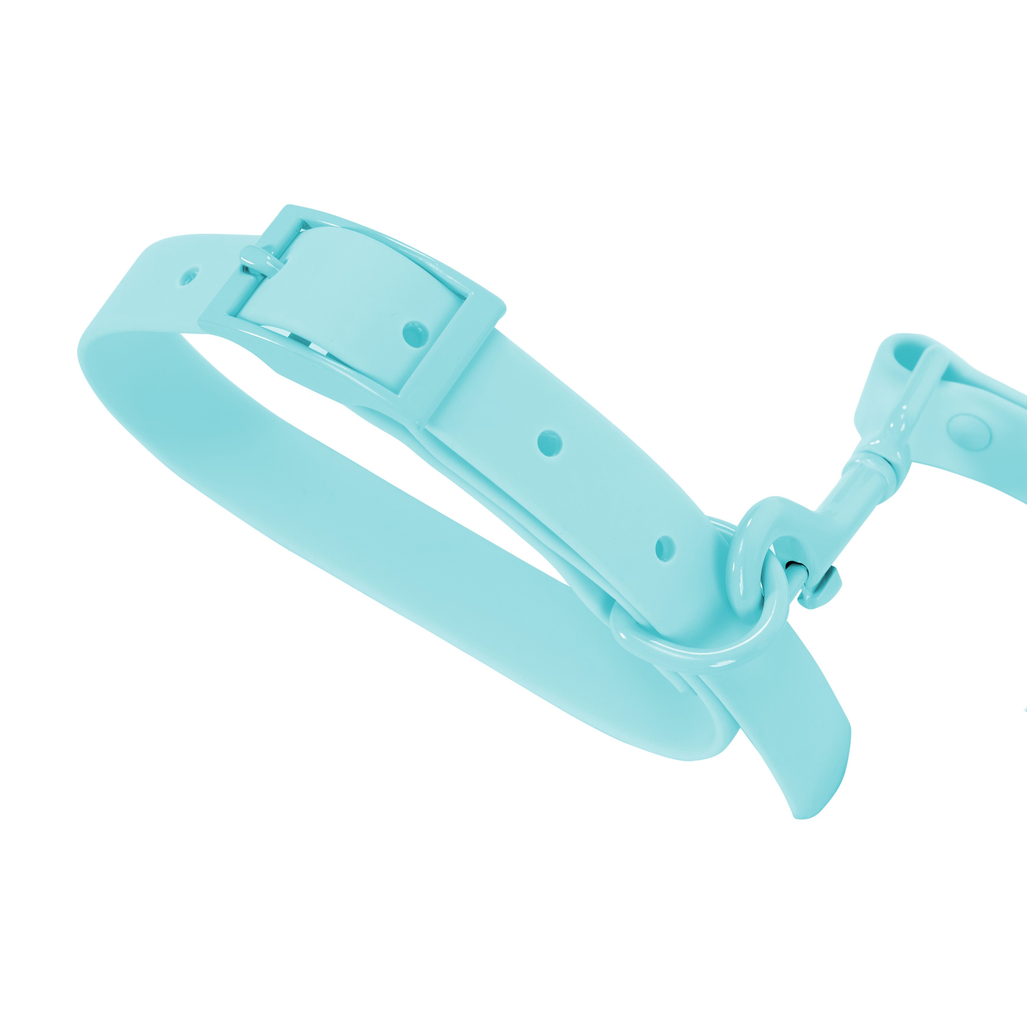 Leash and Collar PJ-074 blue M