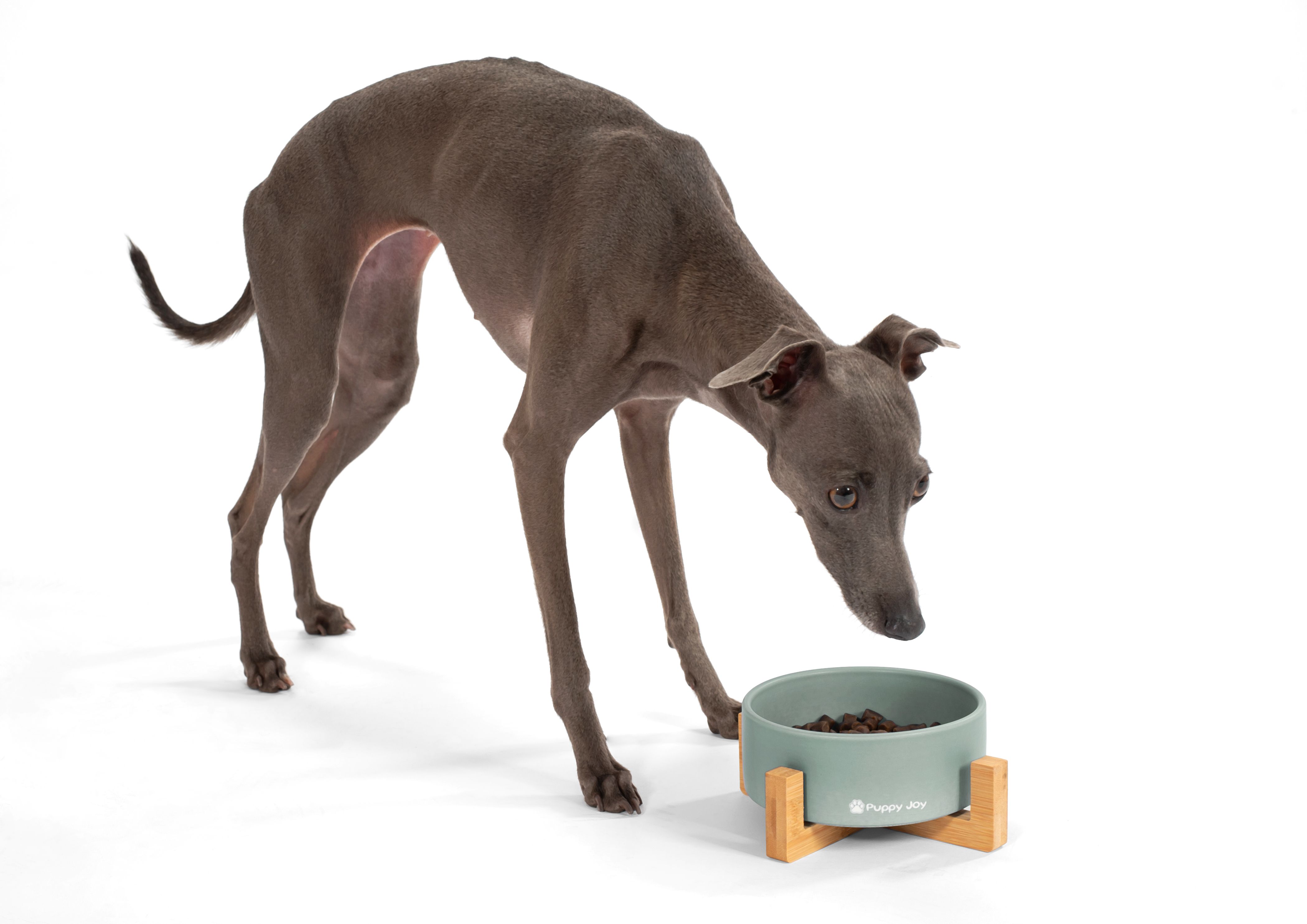 Dog/cat/pet bowl