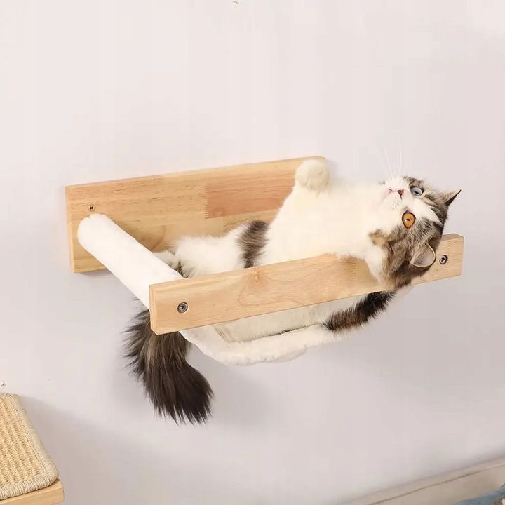 CAT SET JUNGLA JUNGLA 1