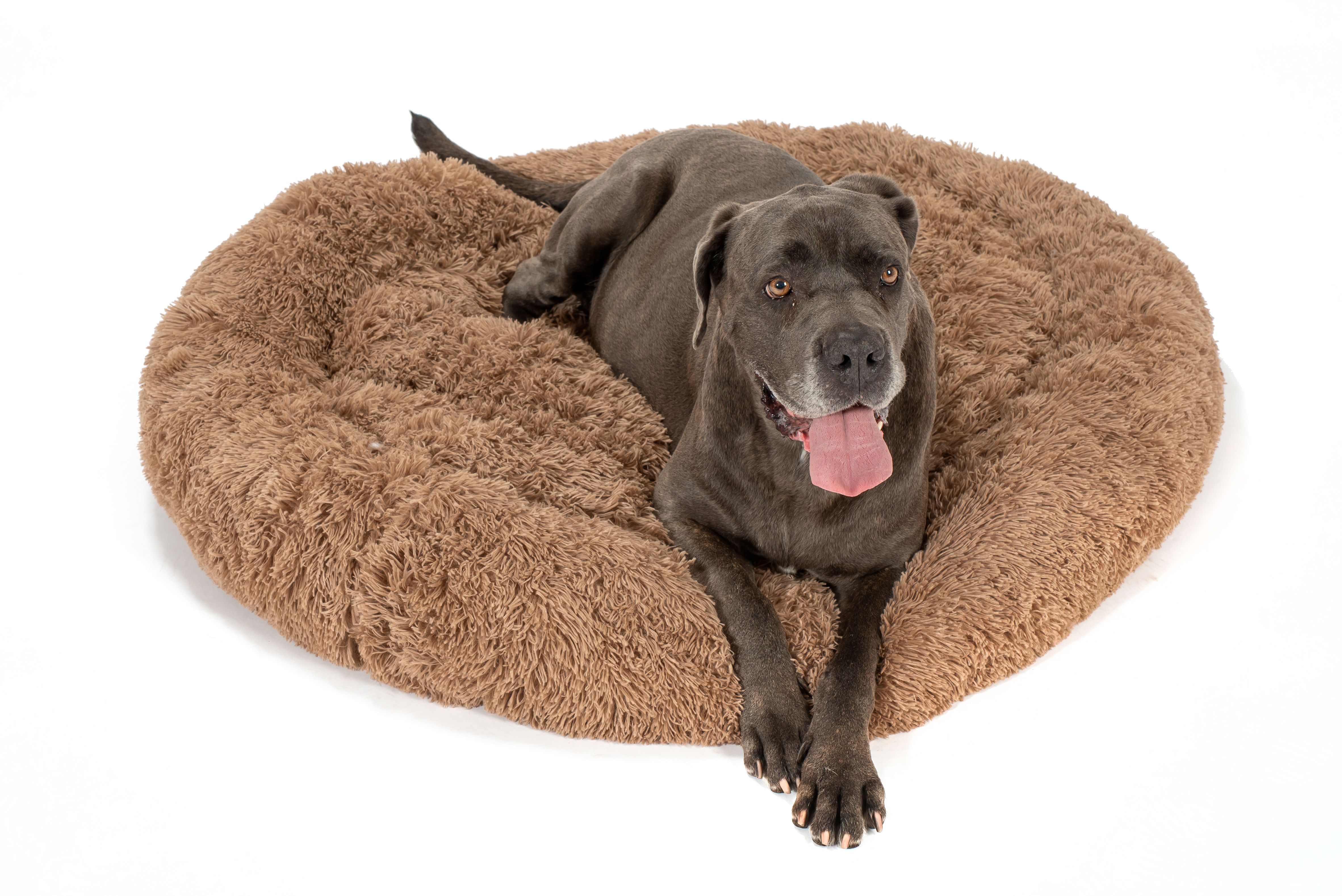 Fekvőhely PJ-011 BROWN L
