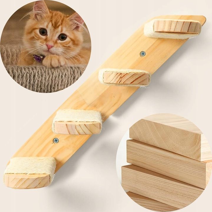 CAT SET JUNGLA JUNGLA 1