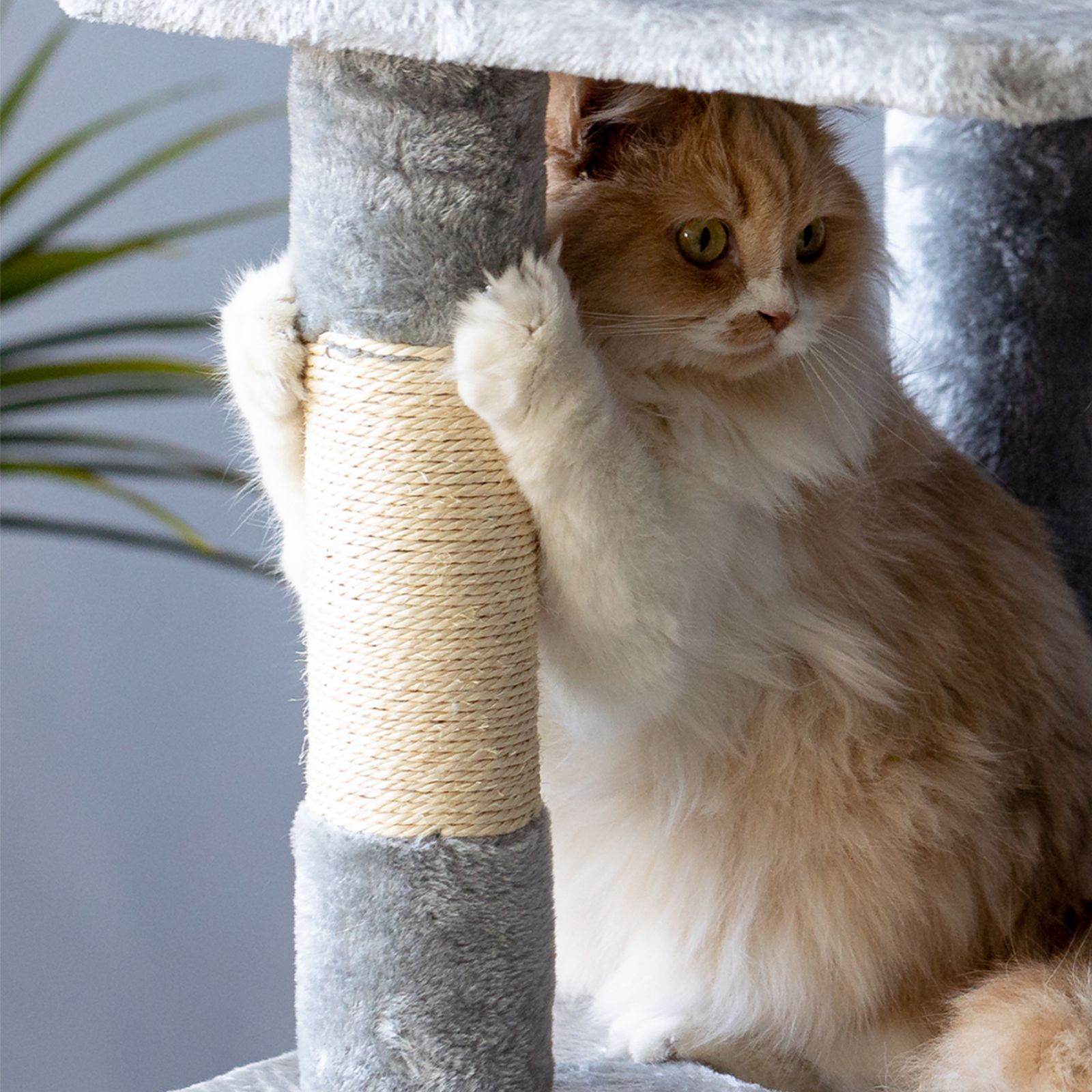 Cat scratching post 322137 XL