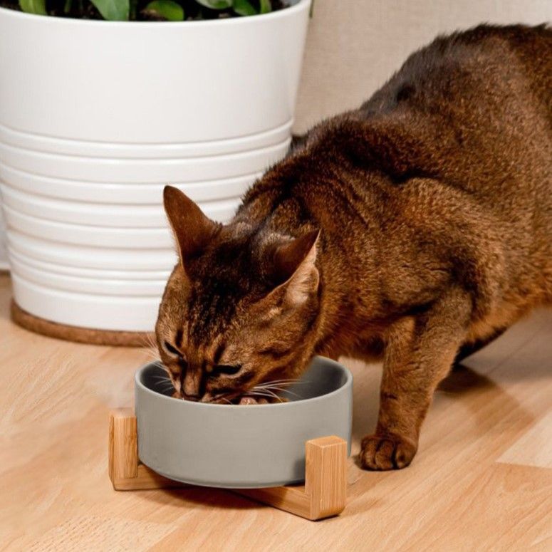 Dog/cat/pet bowl