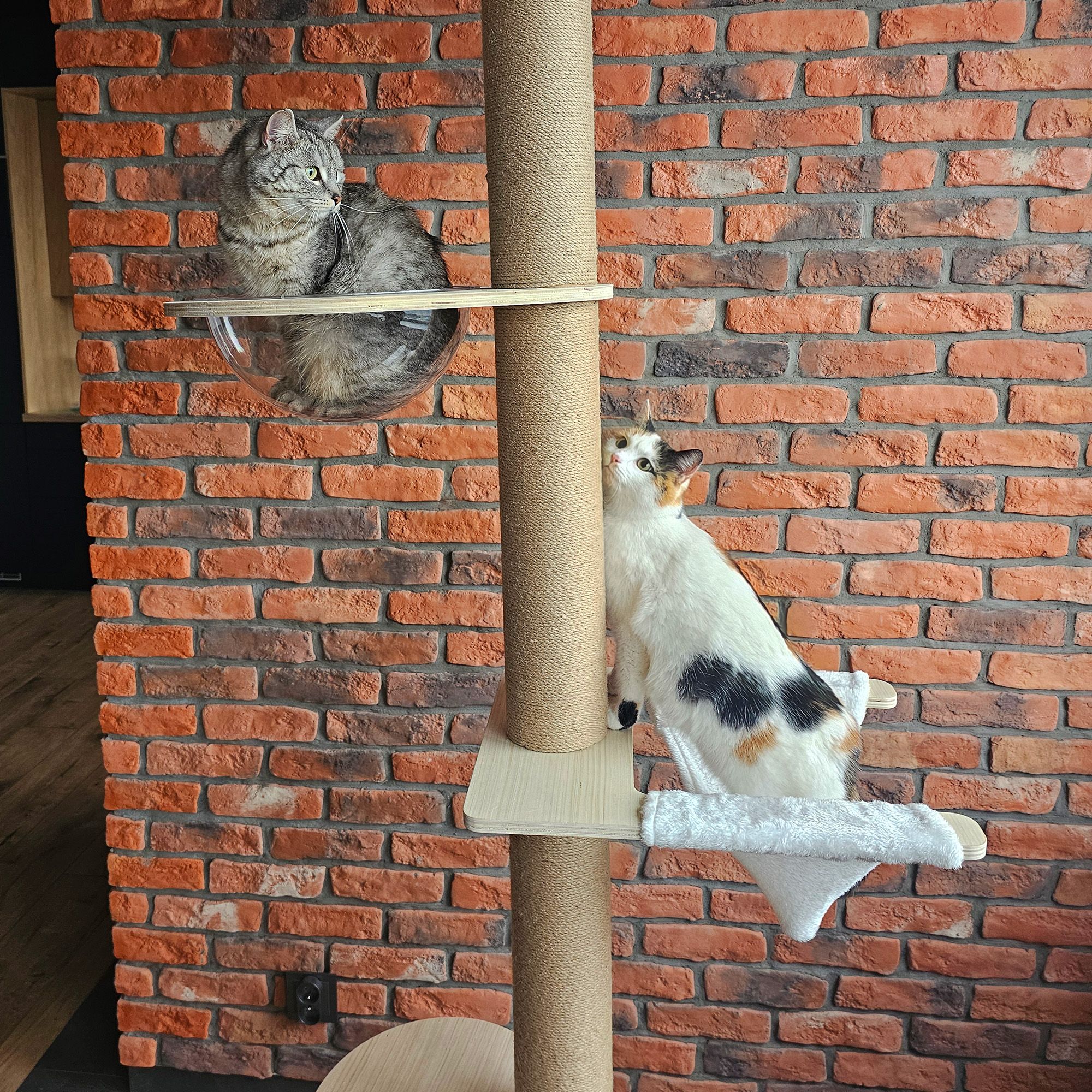 cat tree beige P70503