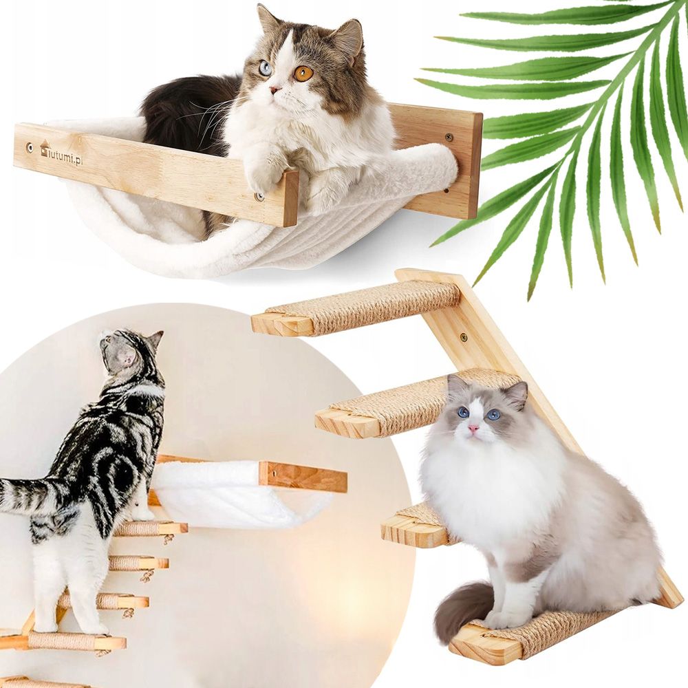 CAT SET JUNGLA JUNGLA 1
