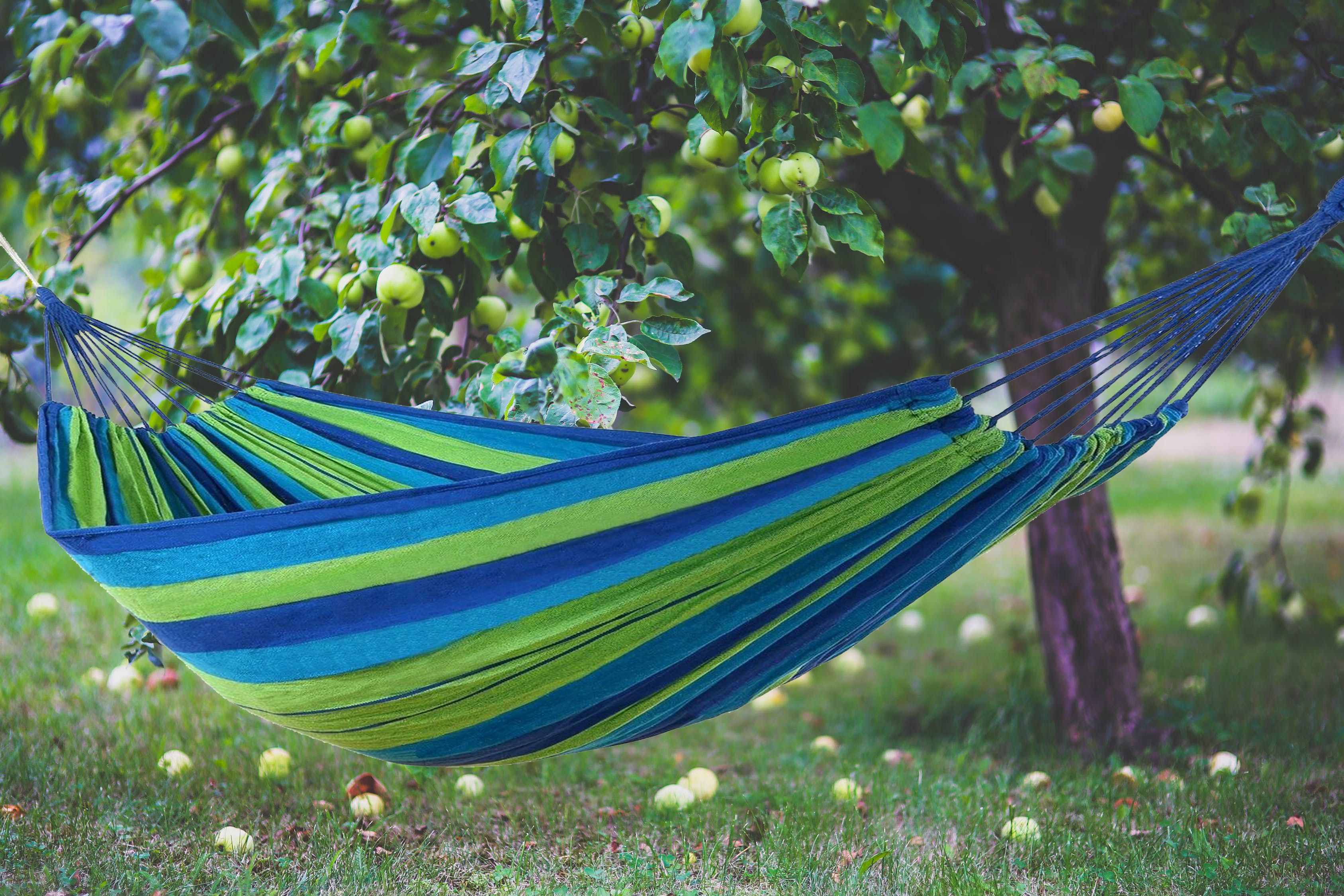 Hamak 2-osobowy Blue Green