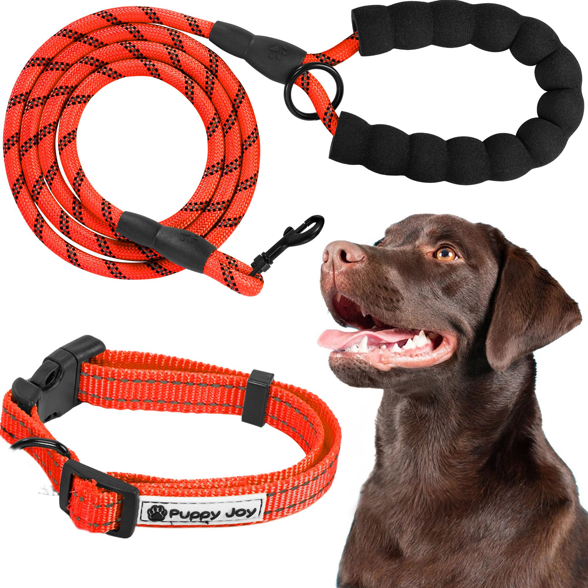 Leash and Collar PJ-035 red